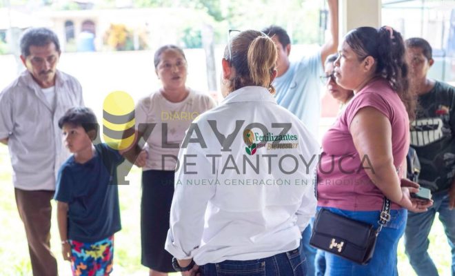 Ampliar la imagen al hacer clic Gobierno Municipal de Chontla y productores suman esfuerzos para mejorar la producción agrícola