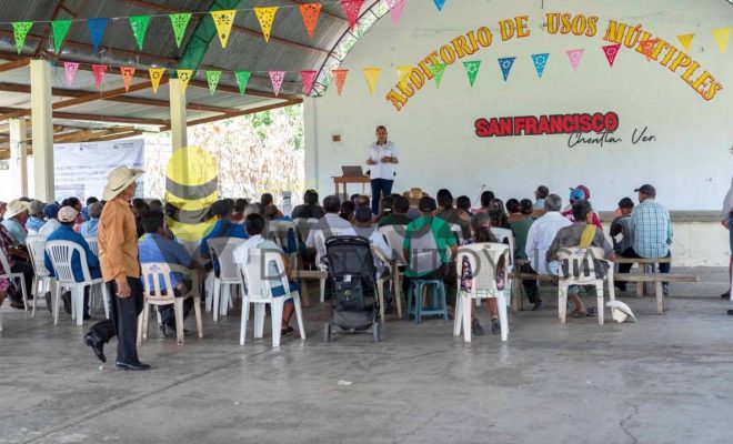 Ampliar la imagen al hacer clic Gobierno Municipal de Chontla y productores suman esfuerzos para mejorar la producción agrícola