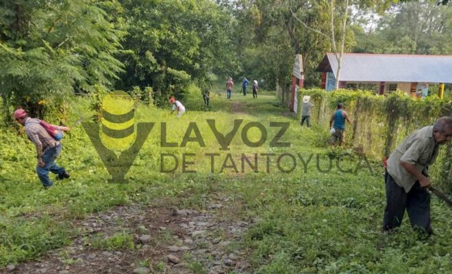 Ampliar imagen al hacer click Gobierno de Citlaltépetl fortalece el mantenimiento urbano con acciones de limpieza en La Mesa de Tlanchinol