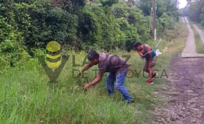 Ampliar imagen al hacer click Gobierno de Citlaltépetl fortalece el mantenimiento urbano con acciones de limpieza en La Mesa de Tlanchinol