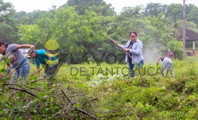 Ampliar imagen al hacer click Impulsa Gobierno Municipal de Chontla trabajos de limpieza y mantenimiento en El Cajete