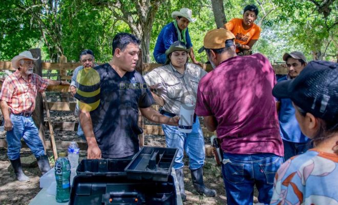 Ayuntamiento de Chontla promueve capacitación especializada para el sector ganadero