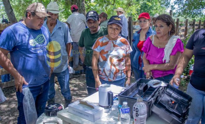 Ayuntamiento de Chontla promueve capacitación especializada para el sector ganadero