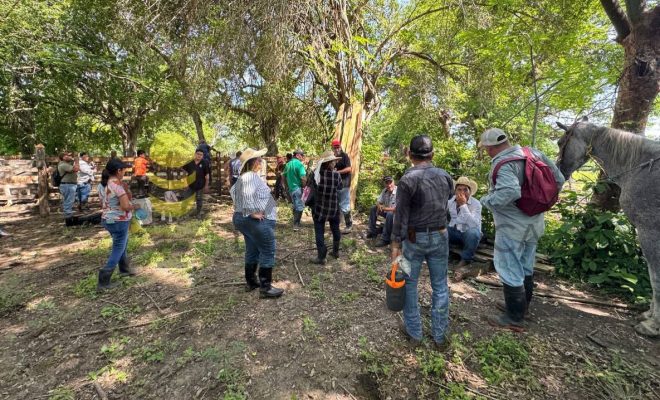 Ayuntamiento de Chontla promueve capacitación especializada para el sector ganadero