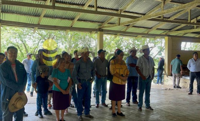 Gobierno de Chontla fortalece la infraestructura carretera con obra en El Coyol