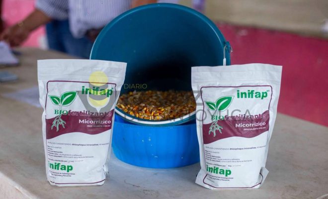 Ayuntamiento de Chontla respalda al campo con entrega de fertilizantes en tres comunidades