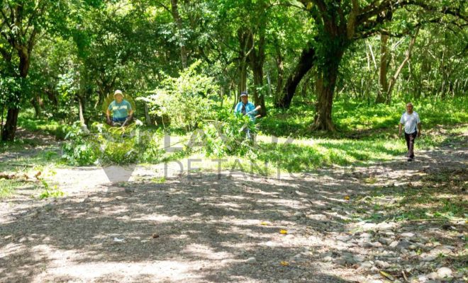 Gobierno de Chontla fomenta el cuidado del patrimonio natural en Cruz Manantial