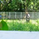 Gobierno de Chontla fomenta el cuidado del patrimonio natural en Cruz Manantial
