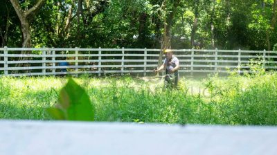 Gobierno de Chontla fomenta el cuidado del patrimonio natural en Cruz Manantial