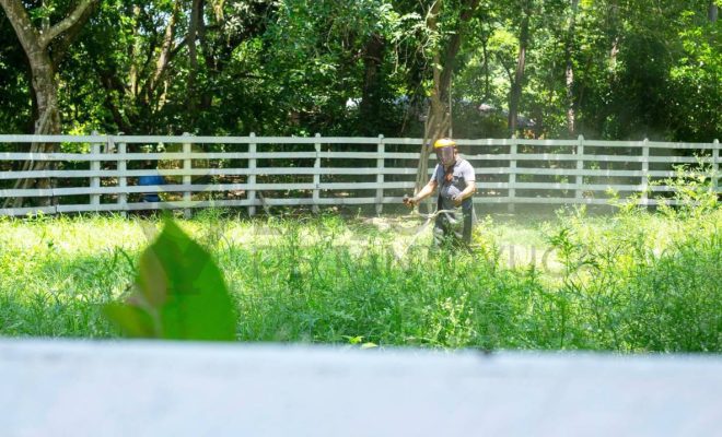 Gobierno de Chontla fomenta el cuidado del patrimonio natural en Cruz Manantial