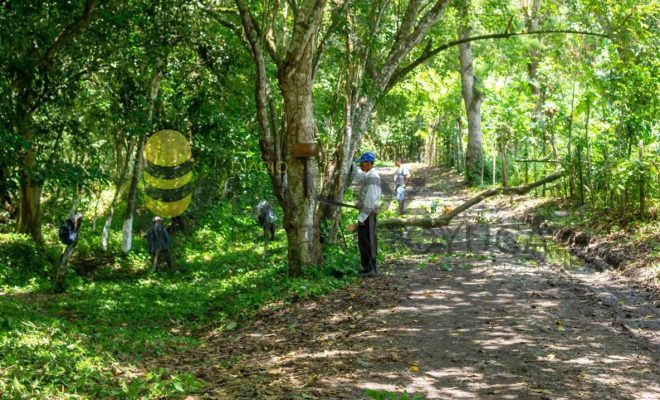 Gobierno de Chontla fomenta el cuidado del patrimonio natural en Cruz Manantial