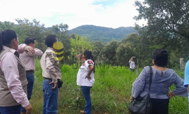 Ampliar imagen al hacer click Gobierno de Citlaltépetl y SEDEMA suman esfuerzos por la protección del patrimonio natural