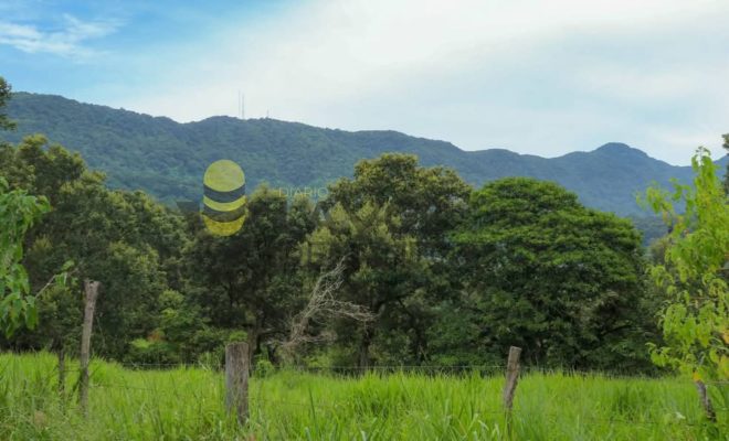 Ampliar imagen al hacer click Gobierno de Citlaltépetl y SEDEMA suman esfuerzos por la protección del patrimonio natural