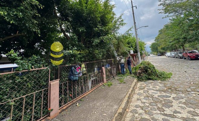 Ampliar imagen al hacer click Ayuntamiento fortalece el mantenimiento de escuelas ante el inicio del nuevo ciclo escolar