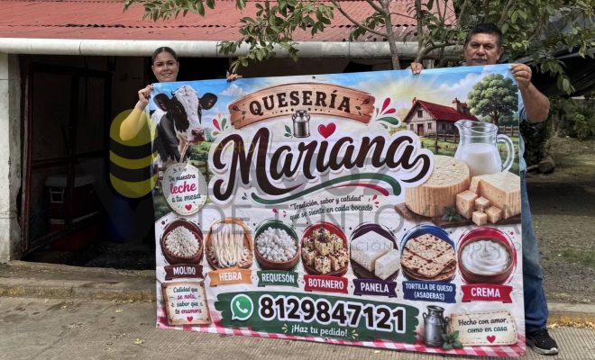 Ampliar imagen al hacer click Gobierno de Chontla fortalece a comerciantes y emprendedores
