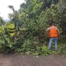 Gobierno de Chontla refuerza el mantenimiento de carreteras en beneficio de sus comunidades