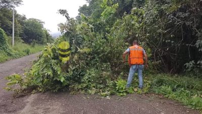 Gobierno de Chontla refuerza el mantenimiento de carreteras en beneficio de sus comunidades