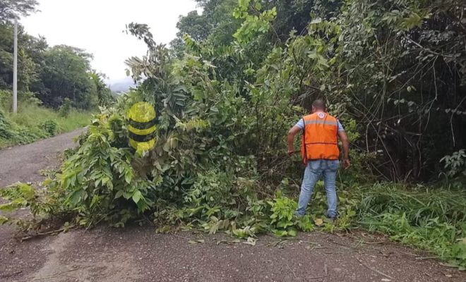 Ampliar imagen al hacer click Gobierno de Chontla refuerza el mantenimiento de carreteras en beneficio de sus comunidades