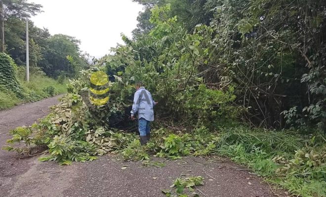 Ampliar imagen al hacer click Gobierno de Chontla refuerza el mantenimiento de carreteras en beneficio de sus comunidades