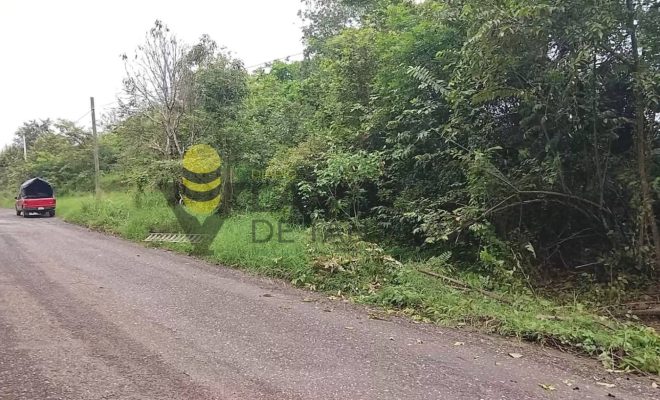Ampliar imagen al hacer click Gobierno de Chontla refuerza el mantenimiento de carreteras en beneficio de sus comunidades