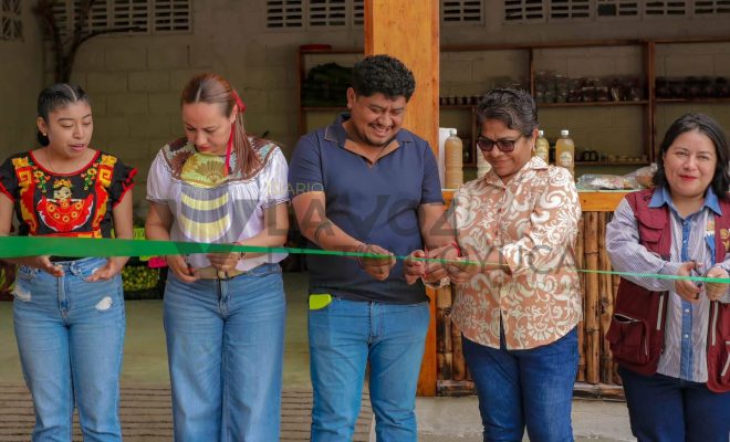 Ampliar imagen al hacer click Gobierno de Citlaltépetl abre nuevas oportunidades de comercialización para las familias productoras