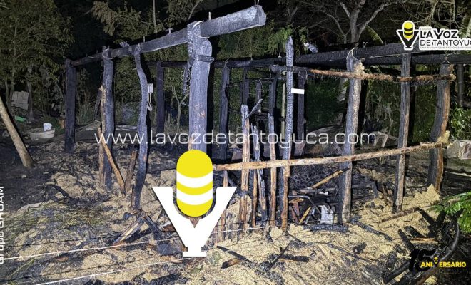 photo_4899985294904462332_y photo_4899985294904462332_y