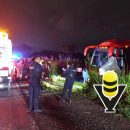 Asaltan autobús ADO en la autopista Cosoleacaque - Nuevo Teapa