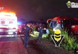 Asaltan autobús ADO en la autopista Cosoleacaque - Nuevo Teapa