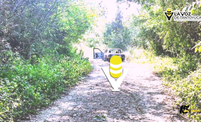 photo_4904707830489746342_y photo_4904707830489746342_y