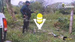 Cazadores furtivos abandonan armas y huyen para no ser detenidos, en Ixhuatlán 