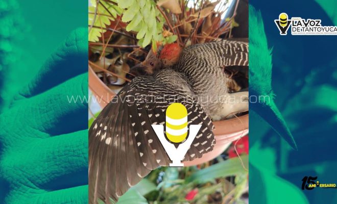 photo_4906959630303431553_y