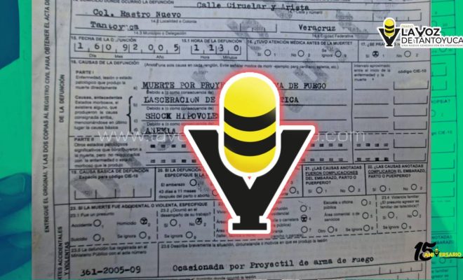 photo_4909137934636747672_y