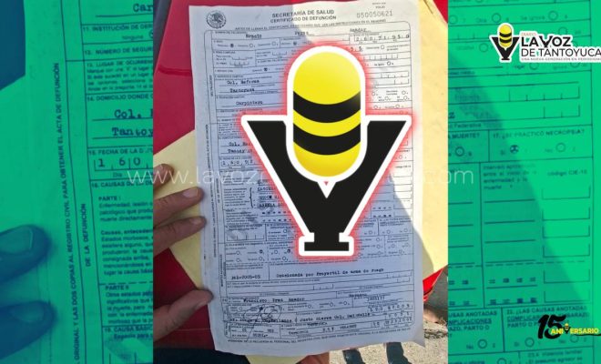 photo_4909137934636747673_y