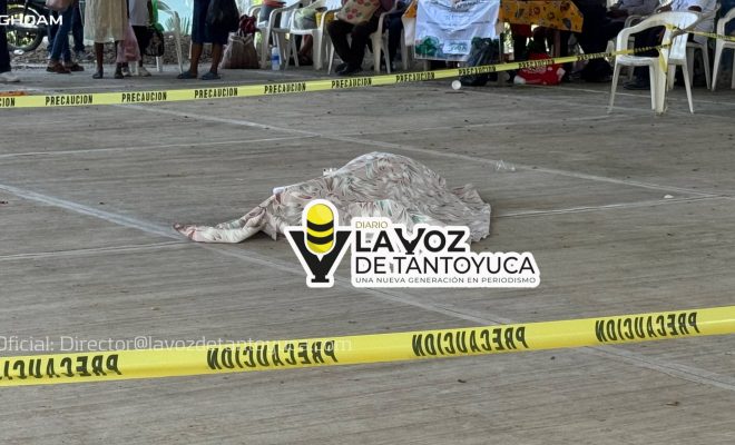 photo_4909379217309502321_w photo_4909379217309502321_w