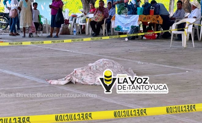 photo_4909379217309502325_w photo_4909379217309502325_w