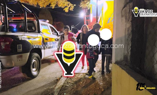 photo_4909462582624717740_y