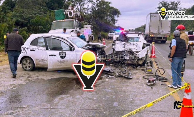 photo_4911389734450432889_y