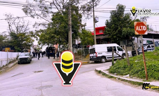 photo_4911389734450432896_y