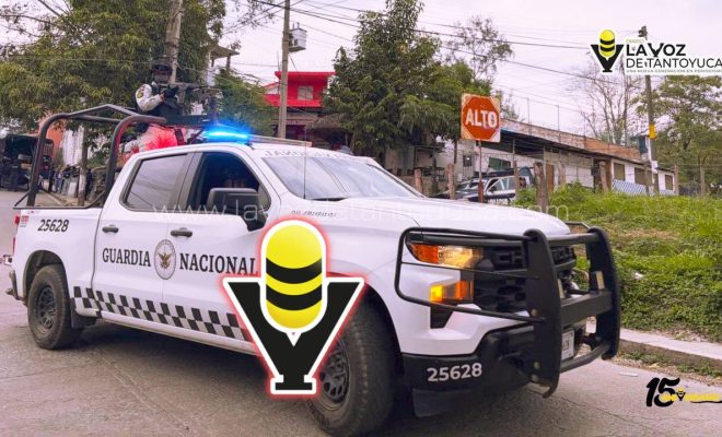 photo_4911389734450432897_y