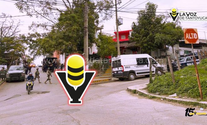 photo_4911389734450432898_y