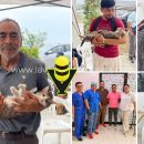 El Centro de Salud Animal realiza primera Jornada de Esterilización Canina y Felina en Tantoyuca