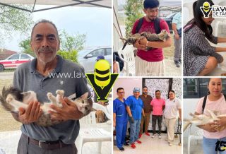 El Centro de Salud Animal realiza primera Jornada de Esterilización Canina y Felina en Tantoyuca