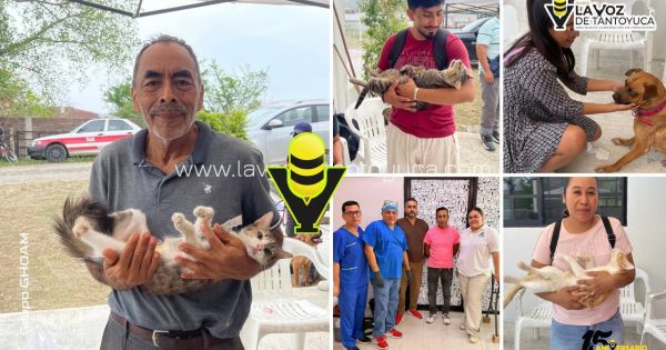 El Centro de Salud Animal realiza primera Jornada de Esterilización Canina y Felina en Tantoyuca