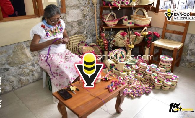 photo_4911714382438403054_y