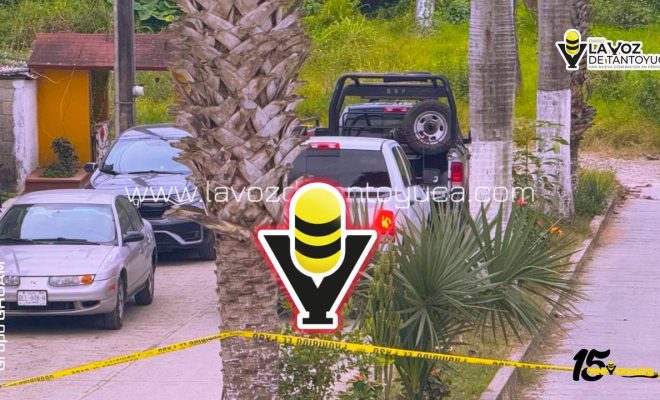 photo_4913579910073355261_y