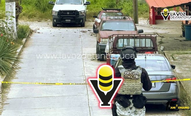 photo_4913579910073355262_y