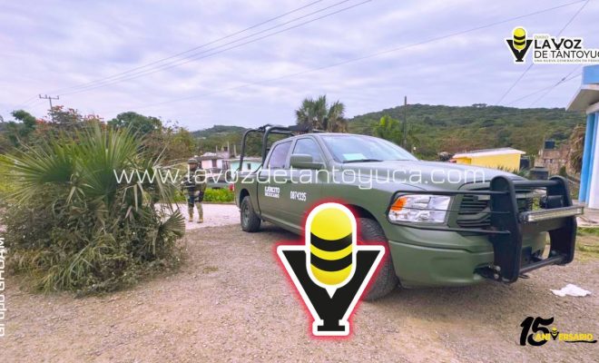 photo_4913579910073355263_y