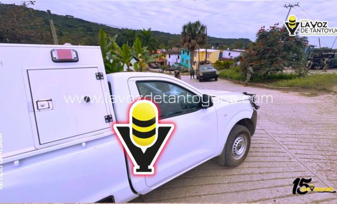 photo_4913579910073355264_y