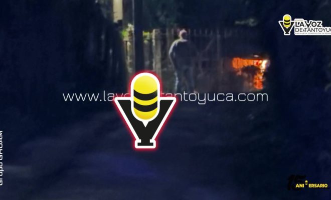 photo_4913579910073355303_y