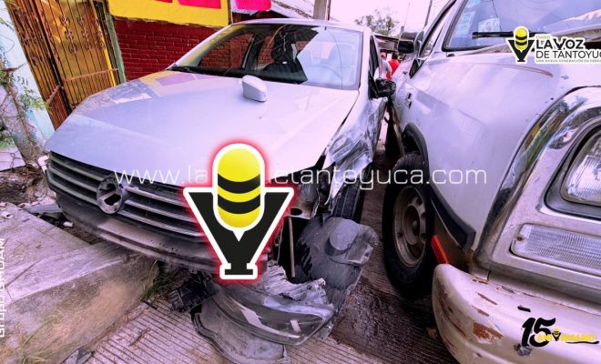 photo_4913579910073355392_y (1)